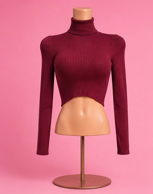 BURGUNDY RIBBED TURTLENECK CROP TOP